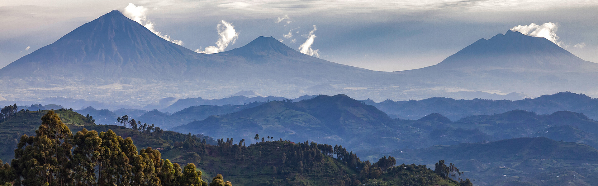 Rwanda | Sous l'Acacia