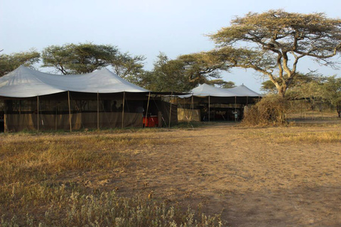 Ndutu wildland camp