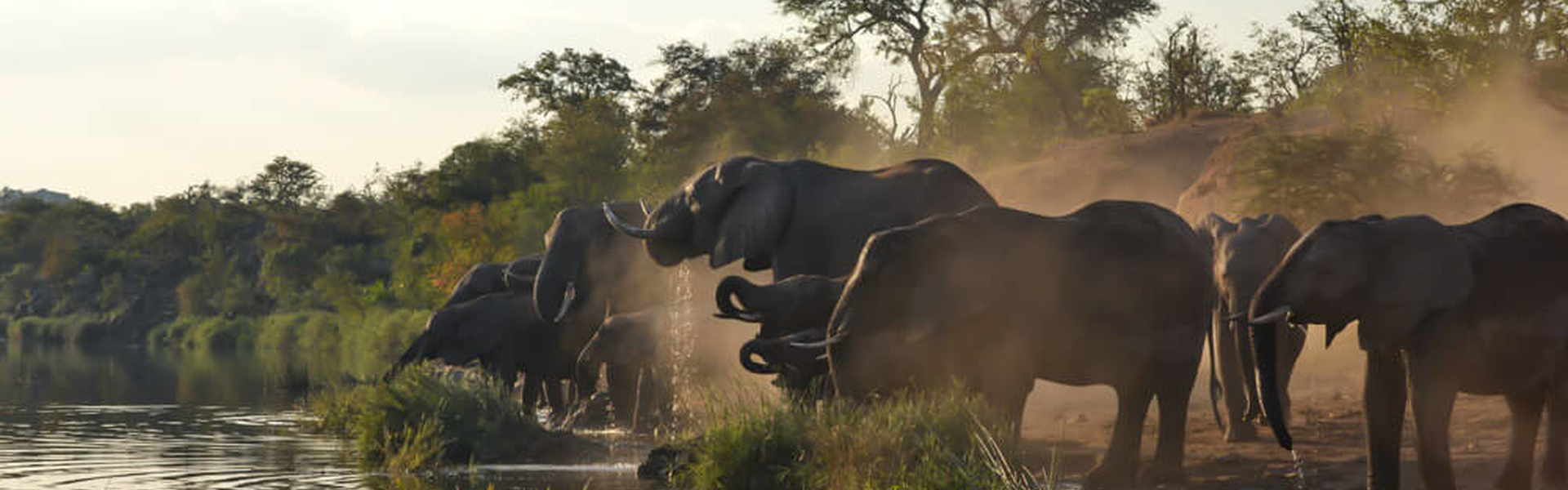 Afrique du Sud et Mozambique : entre Safari et plages | Sous l'Acacia