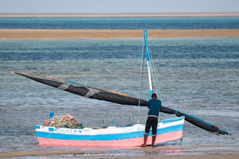 Afrique du Sud et Mozambique : entre Safari et plages