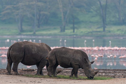 Nairobi - Nakuru