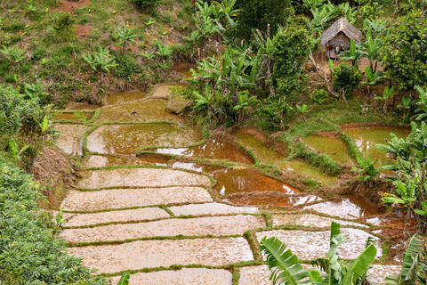 Ranomafana - Antsirabe