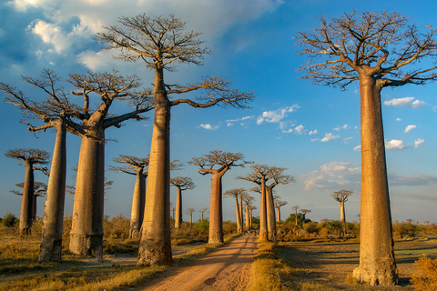 Bekopaka – Morondava