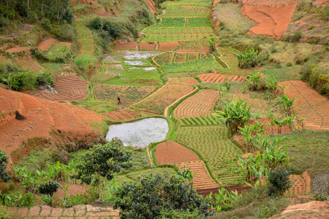 Antananarivo - Miandrivazo