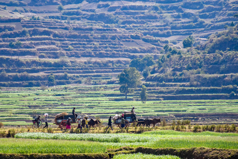 Antsirabe - Antananarivo