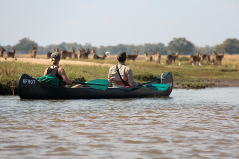 Découverte de Mana Pools en Canoë