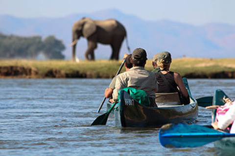 Découverte de Mana Pools en Canoë